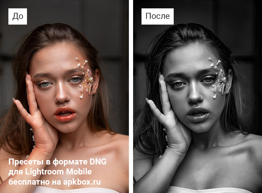 Bencorr Preset Pack, скриншот 2