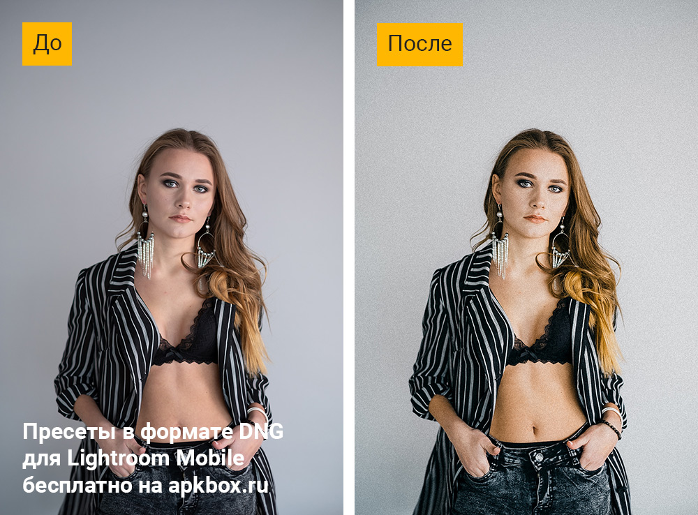 KODAK Portra Preset Pack, скриншот 2