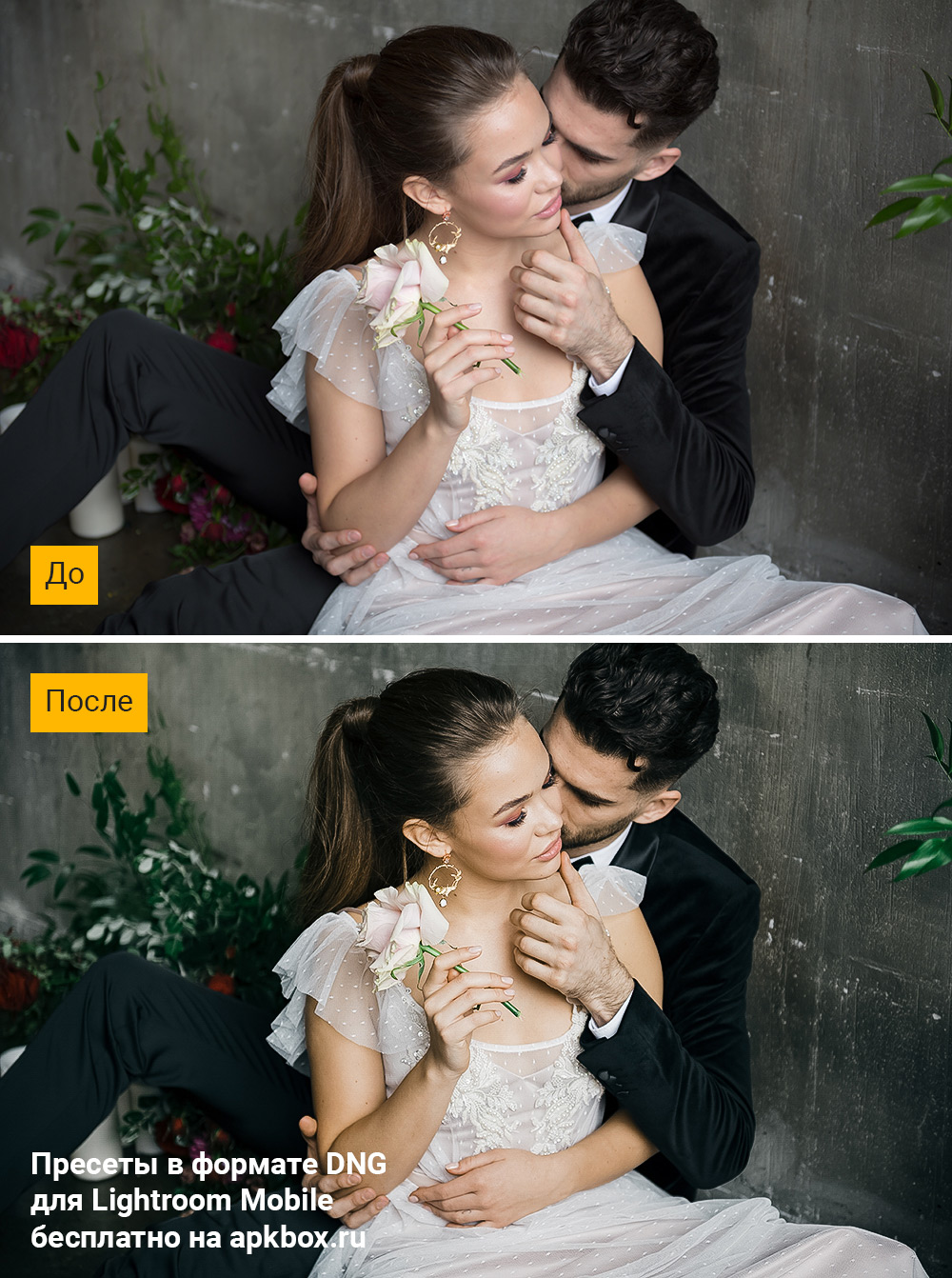 KODAK Portra Preset Pack, скриншот 3