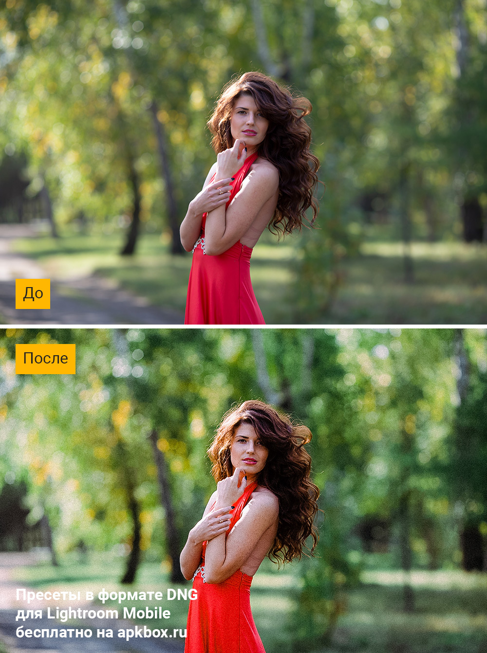 KODAK Portra Preset Pack, скриншот 4
