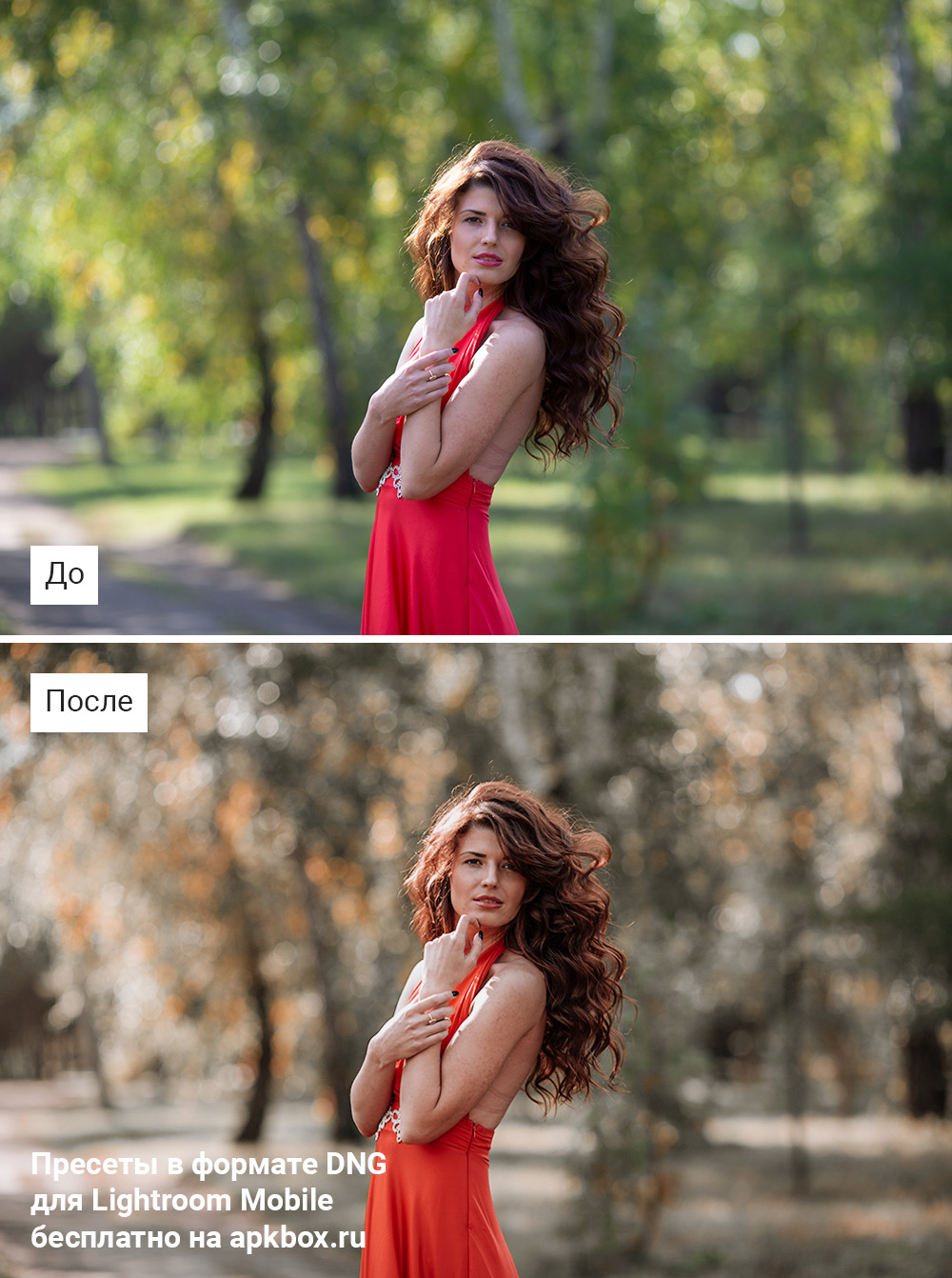 Mardi Preset Pack, скриншот 4