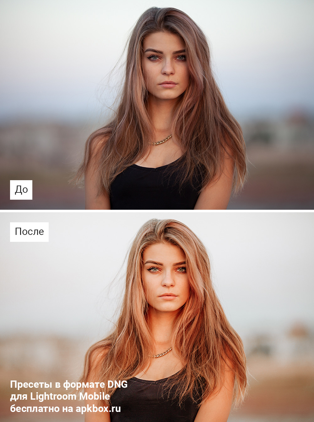 Mardi Preset Pack, скриншот 5