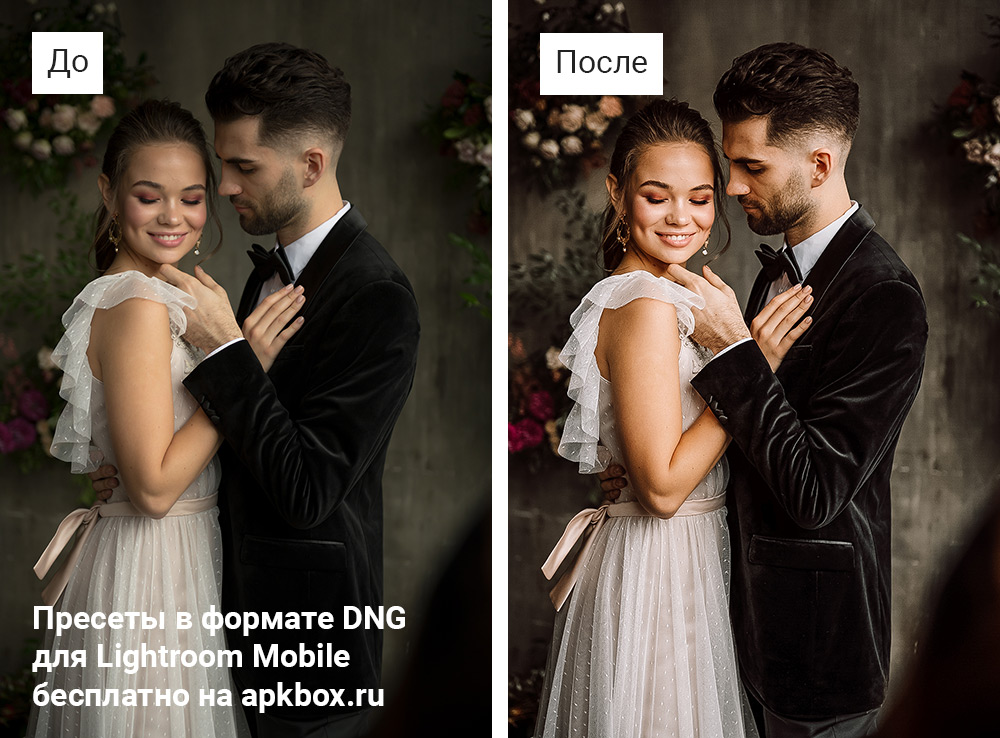 Tonelagee Preset Pack, скриншот 2