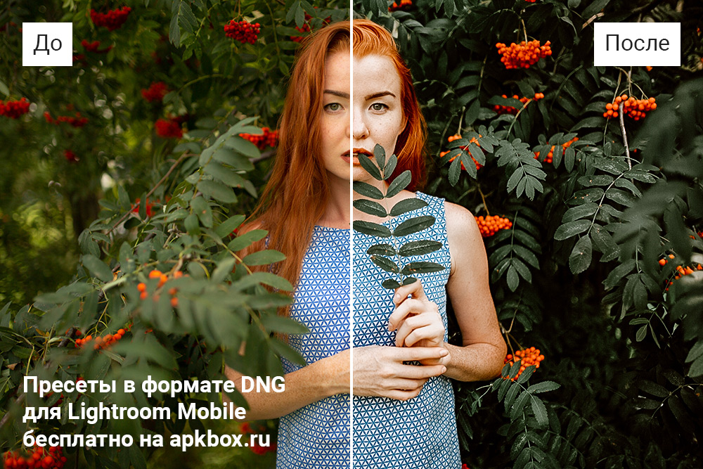 Tonelagee Preset Pack, скриншот 3