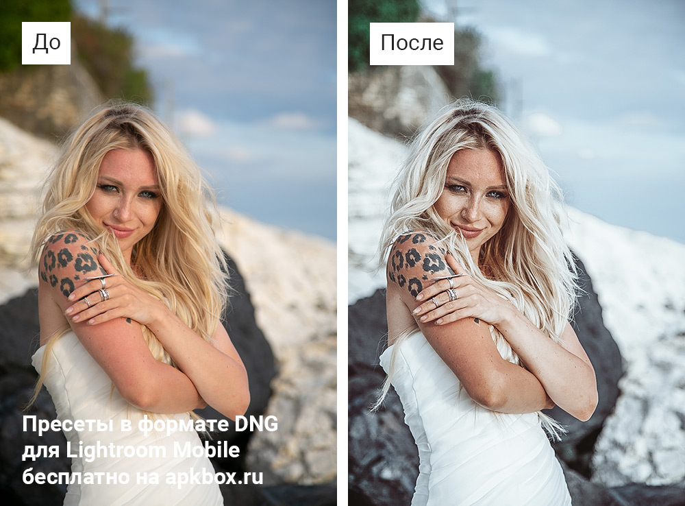Vincenza Lightroom Preset, скриншот 2